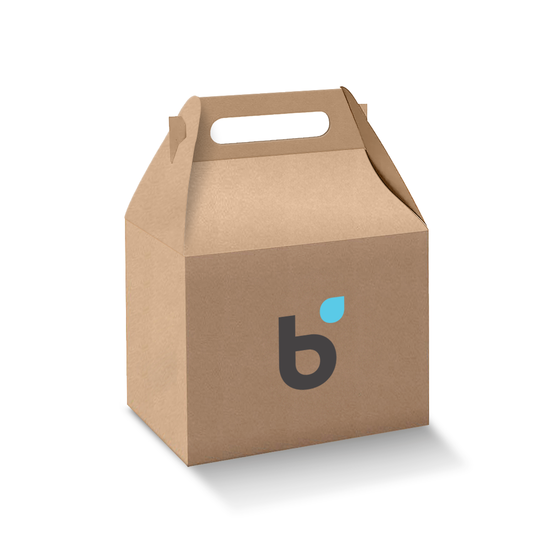 Natural Kraft Gable Box/Takeout Box - Various Sizes