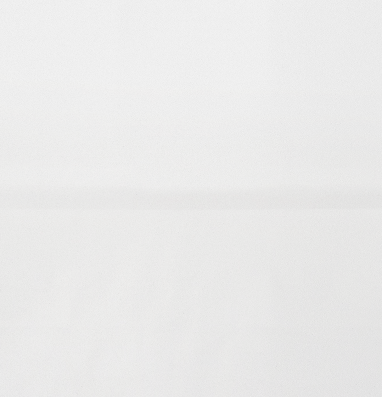 white / 7.99x4.72x9.84